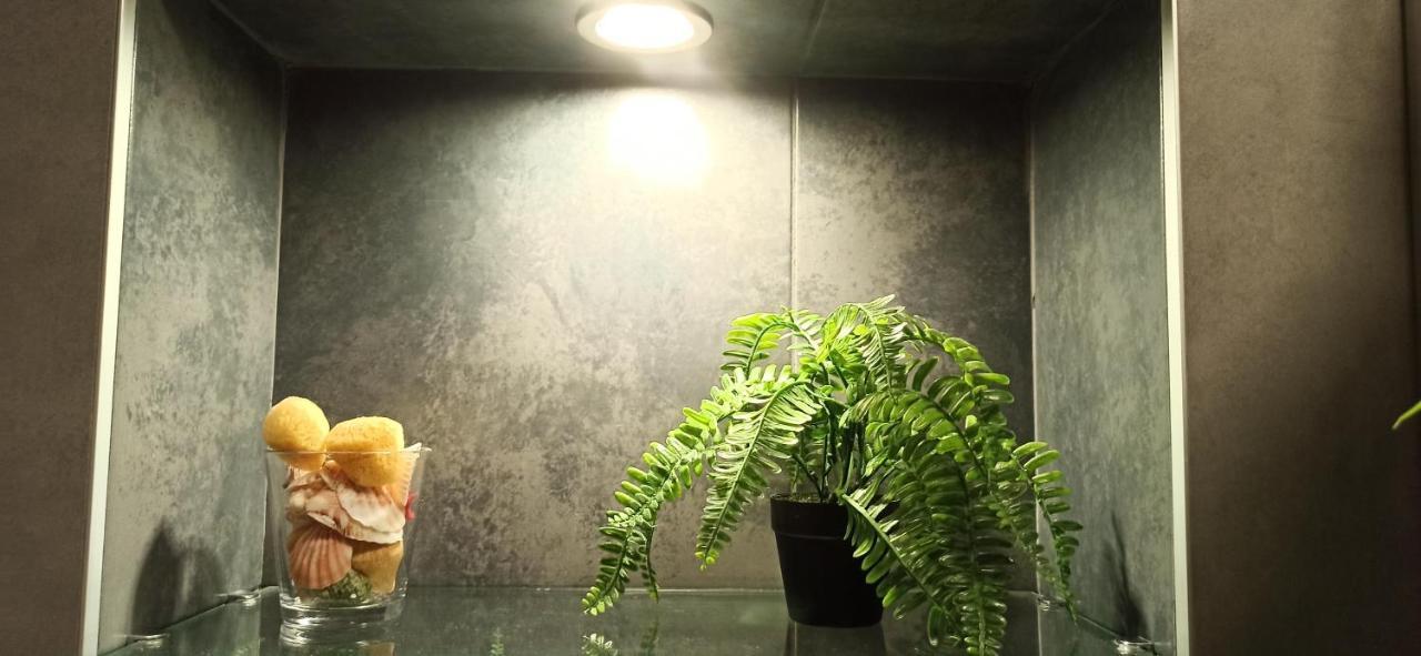 דירות בלגרד Apartman 29 מראה חיצוני תמונה