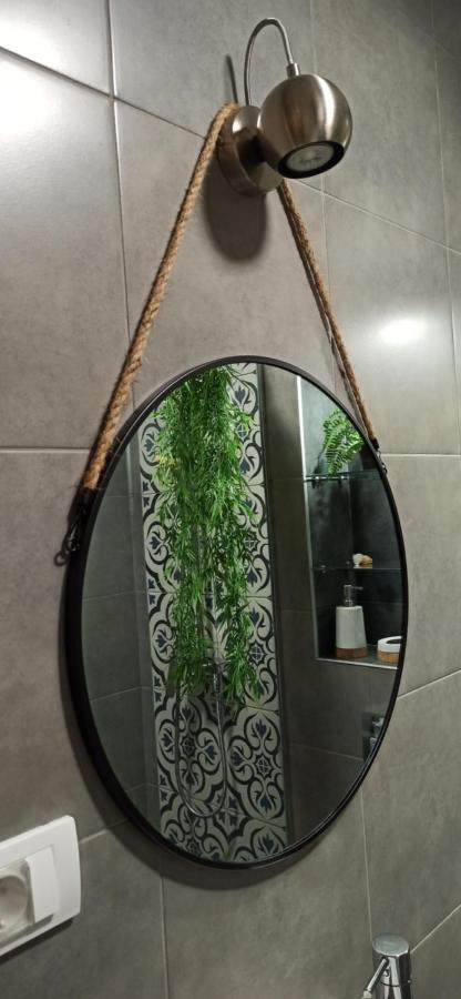 דירות בלגרד Apartman 29 מראה חיצוני תמונה